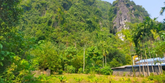 SIÊU PHẨM! Cần BÁN NHANH đất Lương Sơn Hoà Bình 1700M2 TỰA NÚI giá chỉ nhỉnh 1tr