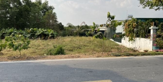 Tôi BÁN ĐẤT GẦN CHỢ,DT 250M2,thổ cư 50m2 , GIÁ 430TR,SHR