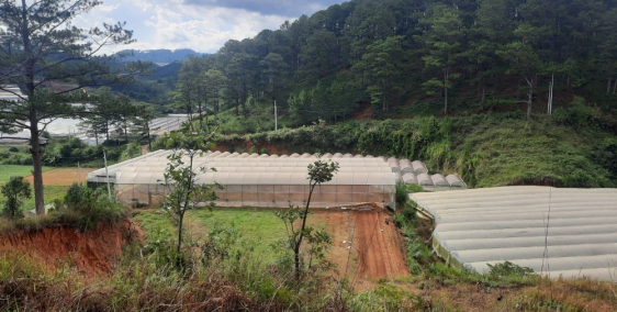 Đất chính sổ sẵn chủ tại thành phố Đà Lạt 20 000m2 cần bán gấp