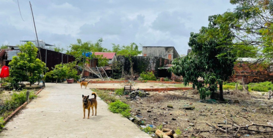 Chủ sốt ngân hàng ,đành bán đất siêu phẩm gấp giá cực mền