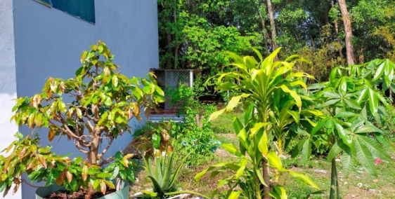 Bán gấp 87m2 thổ cư TT Củ Chi, đường 8m, sổ hồng riêng