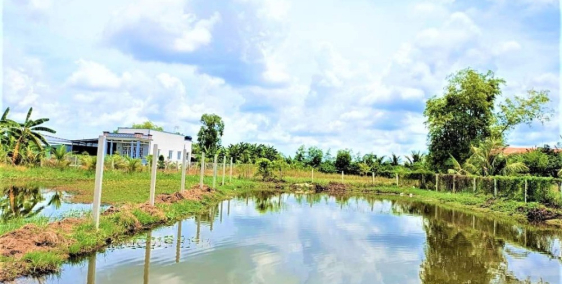 Dt 1000m2 đất vườn view thoáng mát - Củ Chi