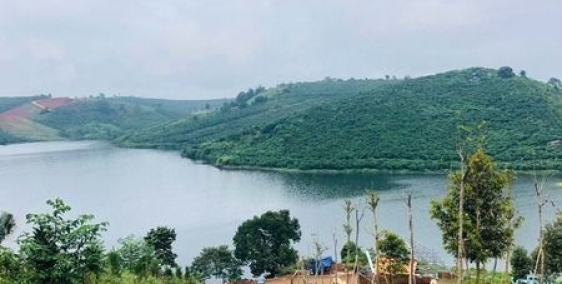 Bán Đất Cao Nguyên Di Linh.Từ 1 sào trờ lên.View Sông.SHR.Giá chỉ 1,5 triệu/m2