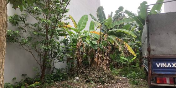 Bán đất TT Lai Cách, Cẩm Giàng, Hải Dương