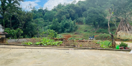 Cần bán gấp đất Liên Sơn, Lương Sơn, Hoà Bình 2600m view thoáng đẹp, giá rẻ