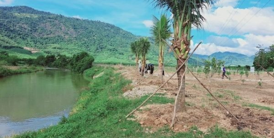 Nhanh tay chọn cho mình mảnh vườn giáp sông thơ mộng chỉ hơn 750tr