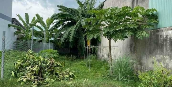 Đất ngay cầu vượt Củ Chi, giá chỉ 639 triệu