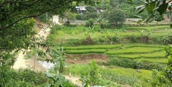 Bất động sản nghỉ dưỡng tiềm năng Tại Kim Bôi - Hòa Bình - 0985400169