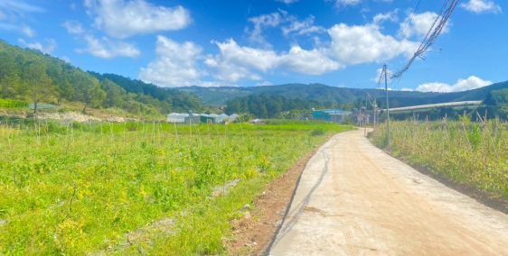 Đất nền giá rẻ Đơn Dương Lâm Đồng