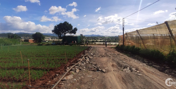 Hạ nhiệt - Chủ ngộp cần gả gấp em bé mặt tiền đường liên xã Suối Thông B Đạ Ròn