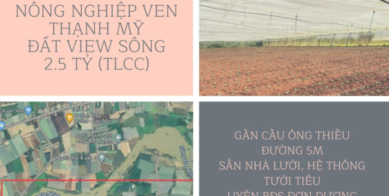 Hơn 3000m2 đất nông nghiệp full Pep Tưới, NHÀ LƯỚI, VIEW SÔNG