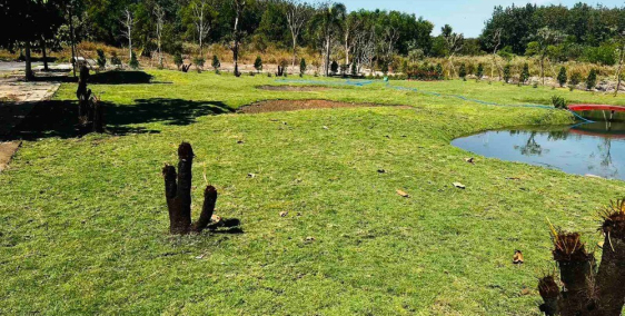 Đất thổ cư 150m2 Bình Phứoc, TP Đồng Xoài giá chỉ 9tr/m2, công chứng ngay