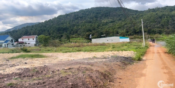 HƠN 3 TRIỆU/m2 SỞ HỮU NGAY 249m2 CÁCH CÔNG TY HASFARM 3P DI CHUYỂN