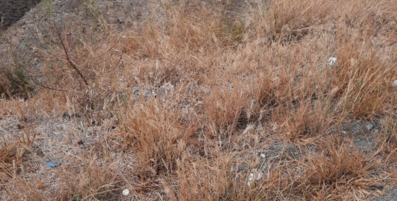 Bán đất mặt tiền tỉnh lộ 830 ngay sát quốc lộ 50 giá 5,7 công