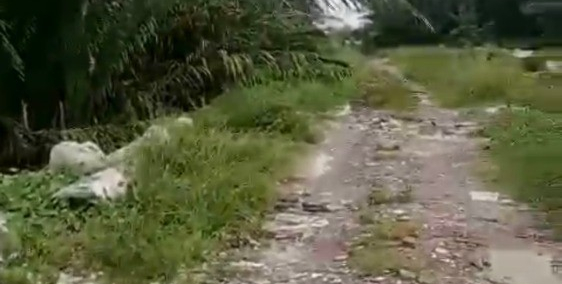 Bán đất nông nghiệp, đất trồng cây lâu năm, Đường phạm hữu lầu huyện nhà bè