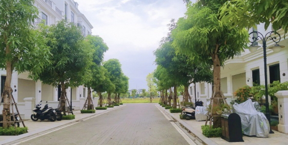 Chính chủ gửi bán Nguyệt Quế 120m2  tại Vinhomes