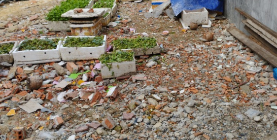 Cần bán lô đất sổ đỏ riêng ngang 6m, dài 18m, diện tích 108m2