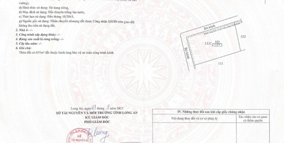 Anh chủ cần bán gấp miếng đất lúa 11000m2 Giảm mạnh tháng Giêng,Chỉ 339tr/1000m2