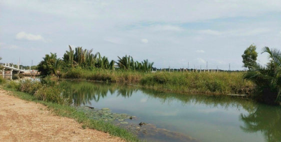 MT sông Phước Khánh - Nhơn Trạch đường ô tô 1 sẹc 1100m2 giá 950tr