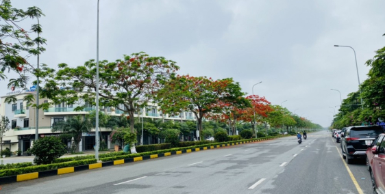 Chính chủ cần bán căn nhà phố đường 56m, diện tích 120m2 khu Centa VSIP Bắc