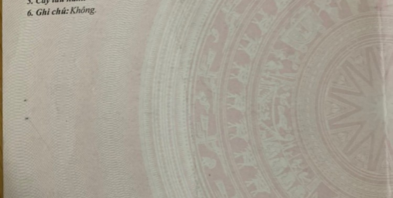 Bán Đất Chính Chủ Không Môi Giới