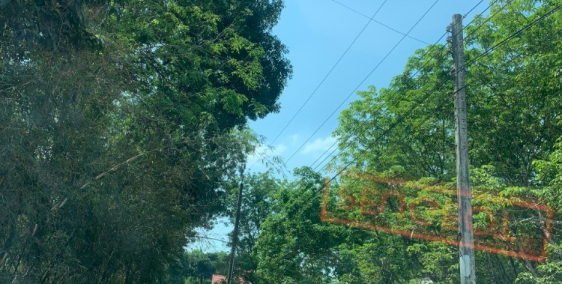 Cần bán đất nhà ngang 12 dài 40 dân đông phường chánh phú hoà giá 1 tỷ