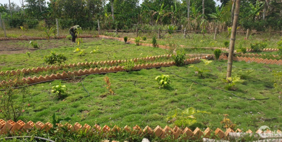 Bán nhanh vườn dừa view sông La Ngà. Giá chính chủ 885 triệu/1000m2