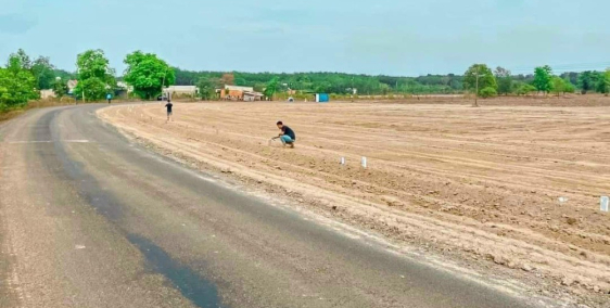 Đường Nhựa, Sổ Sẵn cam kết lợi nhuận.