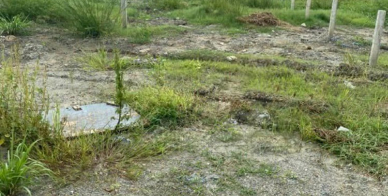 Bán Gấp Lô Đất 5x22 Ngay KCN Tân Đức Đức Hòa Long An Giá Rẻ Nhất Khu Vực