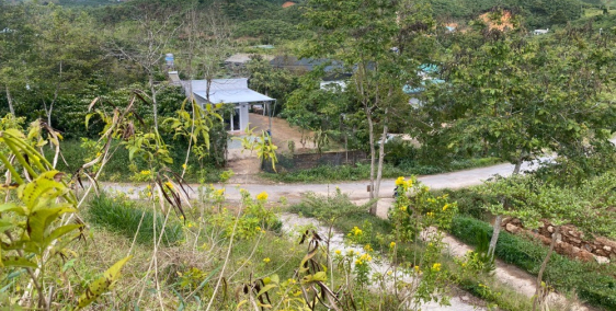 Đất view 360 khu dân cư Bảo Lộc thích hợp làm Homestay - Farmstay