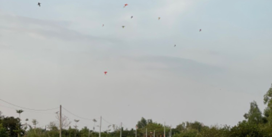 Đất nền sông thao full thổ cư nhận sổ liền tay