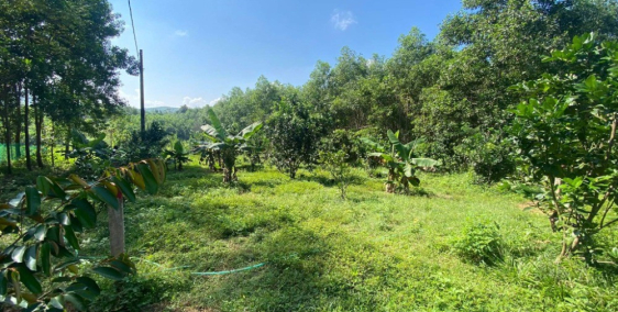 Ông Anh Cần bán nhanh lô đất view Sông Hữu Trạch Giá Cực Rẻ!!! 0915404535