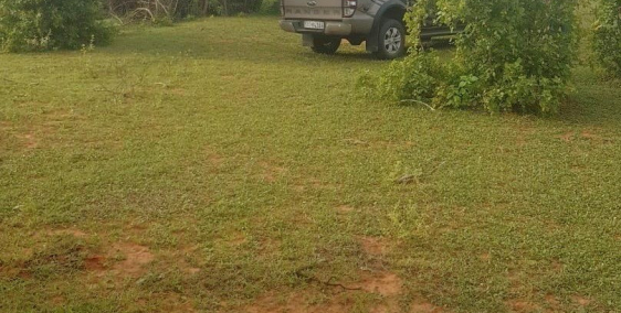 Bán đất vườn xã sông luỹ, bắc bình 2177m2 giá chỉ 267tr sổ sẵn Lh 0938677909