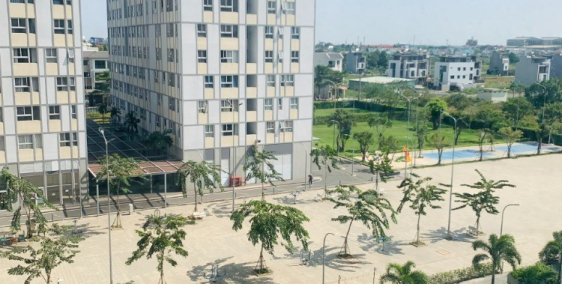 Cho thuê căn hộ, chung cư Citiesto Phường Cát Lái, quận 2.