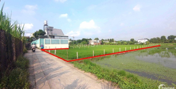 Cần bán gấp lô đất chính chủ đường Huỳnh Hữu Trí, Bình Chánh