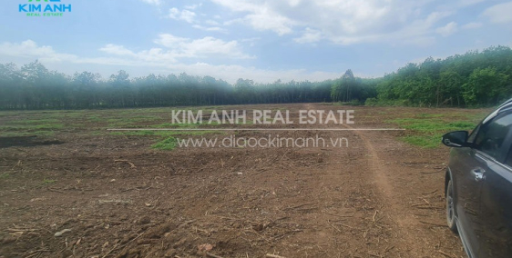 CỰC SỐCĐất Tây Ninh chỉ có 479 nghìn/m2