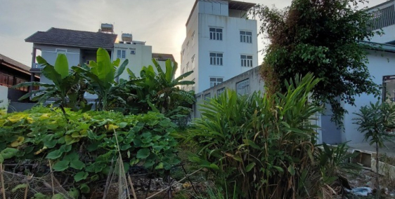 Vì sao gần đây nhiều người đi săn lùng đất view sông, view kênh ở quận 12?