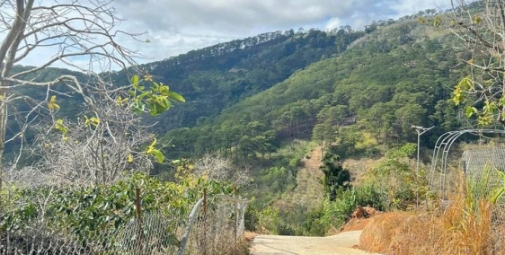 đatá rroongj đà Lạt, view đẹp chỉ 1,8 tỷ (540 triệu/sào) quá rẻ