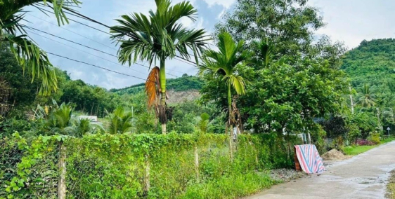Lô đất diên khánh cách nha trang 25km, có thổ, khu dân cư giá rẻ nhất khu vực