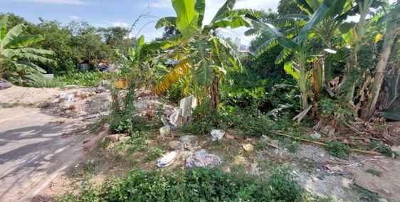 Bán lô đất lớn còn sót lại của phường Đông Hưng Thuận quận 12, diện tích 1405m2