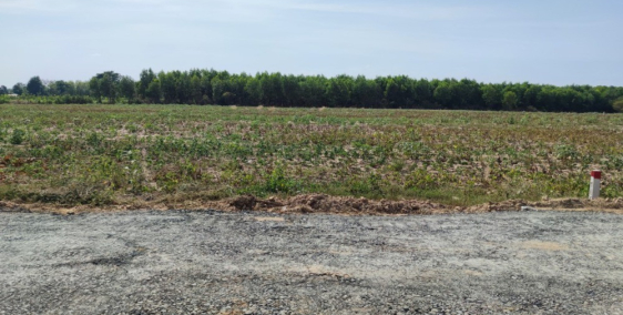 Cần sang nhượng lại lô đất nông nghiệp ở Hòa Thạnh - Tây Ninh