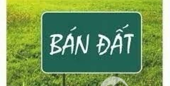 CHỦ THIẾU NỢ BÁN GẤP ĐẤT TC 1T150