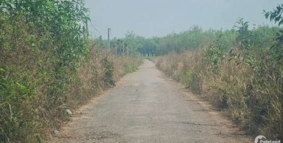 cần tiền bán gấp miếng đất còn đâu rẻ hơn, châu thành, tây ninh