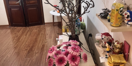 Bán tập thể 80m2, 2 ngủ, nhà đẹp nội thất đầy đủ Ngọc Khánh, Ba Đình, 2,8 tỷ TL