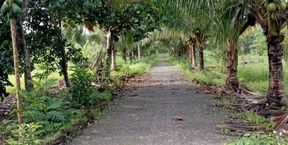 Đất nhà vườn chính chủ Định Quá