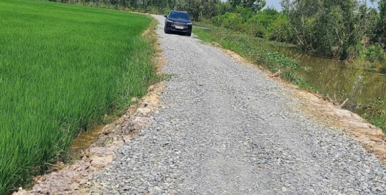 Chị chủ cần bán gấp 4930m2 đất ấp 6 Mỹ Thạnh Đông,Đức Huệ giá chỉ 420tr/1000m2