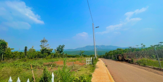 Bán đất thổ cư view đồi chè giá chỉ 600 triệu ,SHR