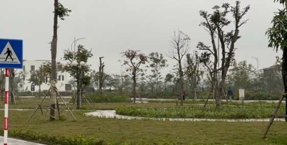 E có bán vài lô vị trí đẹp, giá rẻ nhất toàn khu dự án Vinaconex 3 Phổ Yên