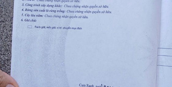 Bán nhà và đất ở đô thị tại TP Cam Tanh - trên 200m2