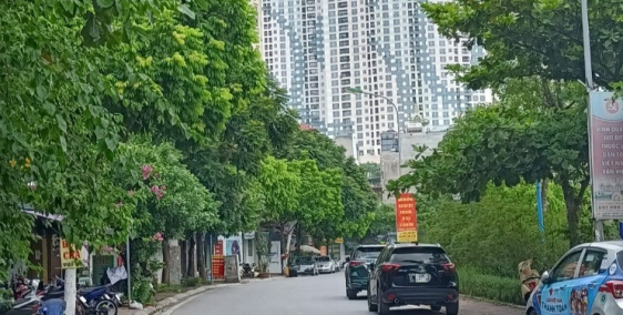 Hiếm - Mặt phố Ngọc Thụy, 105m2, MT 5m, ô tô tránh, vỉa hè, kinh doanh, 11 tỷ